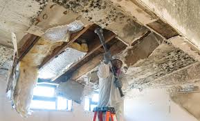 Best Attic Mold Removal  in Crestline, CA